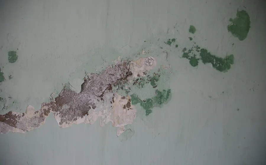 Muro con una mancha de humedad y pintura soplada por una fuga de agua
